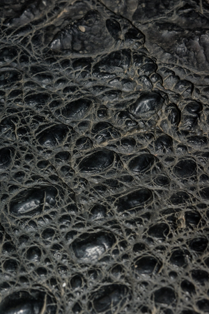 close up crocodile skin Leather pattern textureの写真素材
