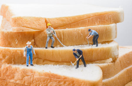 miniature people worker on sliced bread (work on bread)