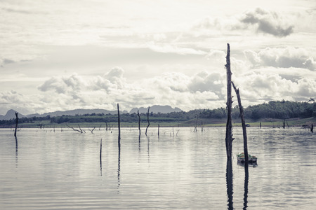 river water natural and old tree on dam with retro filterの写真素材