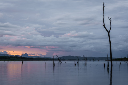 river water natural and old tree on dam. sunset light with retro filterの写真素材