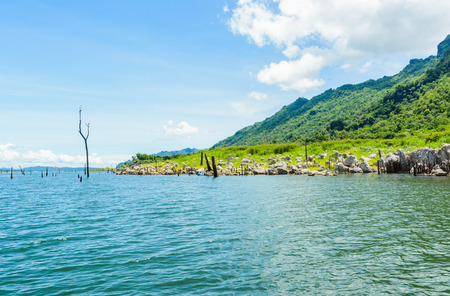 river water natural and old tree on dam with mountainの写真素材