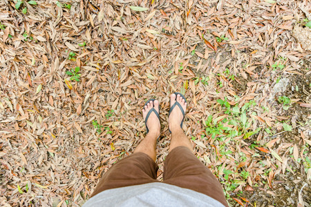 Male feet with Flipflop standing on nature field groundの写真素材
