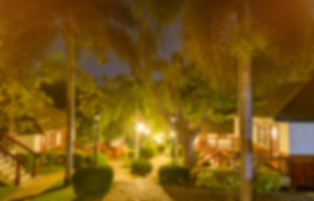 blur background of home and garden tree night sceneの写真素材
