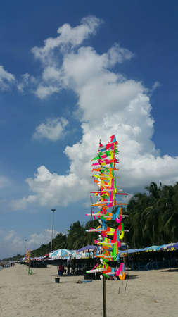 Colorful kite on beach and cloudy sky background.の素材