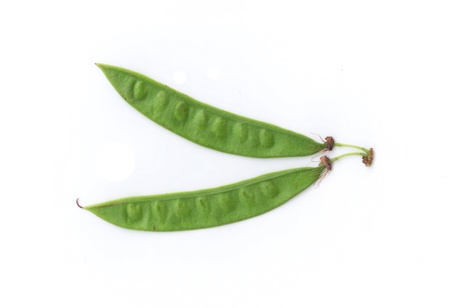 bean