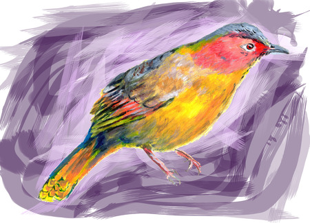 oil painting bird on paperの写真素材