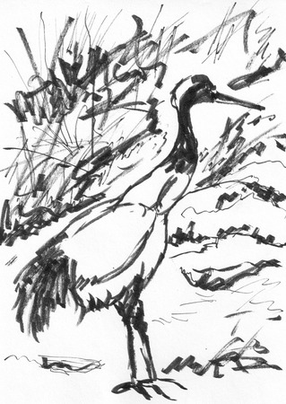 chinese painting bird crane on paperの写真素材