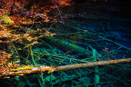 china jiuzhaigou park at sichuanの写真素材