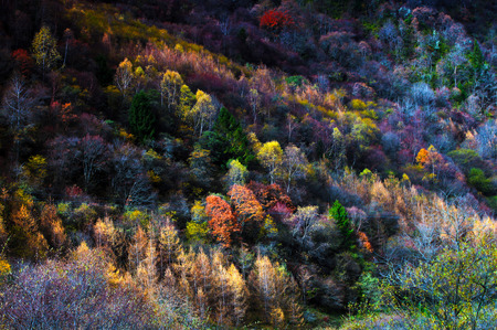 china jiuzhaigou park at sichuanの写真素材