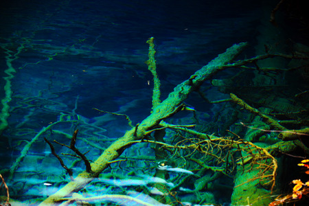 china jiuzhaigou park at sichuanの写真素材