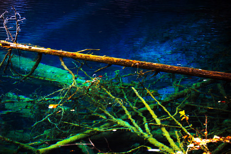 china jiuzhaigou park at sichuanの写真素材