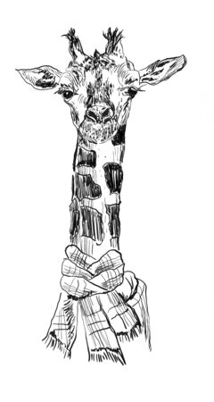 giraffe hand drawn illustration,art design,wall inspirationの写真素材