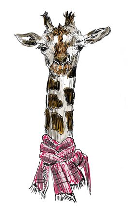 giraffe hand drawn illustration,art design,wall inspirationの写真素材