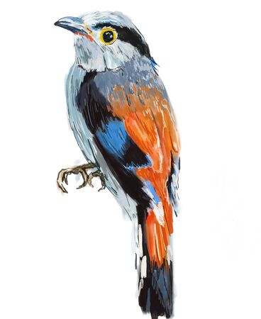 bird hand drawn illustration,art design,wall inspirationの写真素材