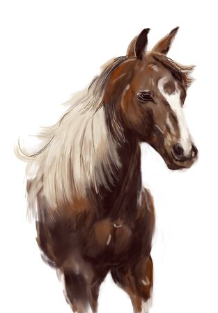 horse hand drawn illustration,art design,wall inspirationの写真素材