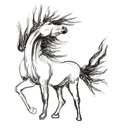 horse hand drawn illustration,art design,wall inspirationの写真素材