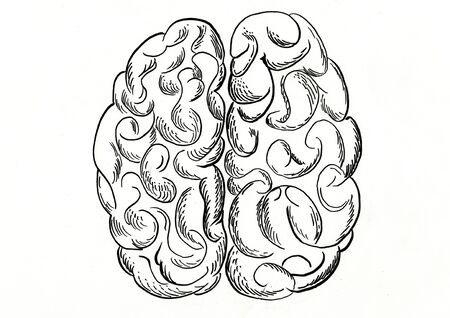brain hand drawn illustration,art design,wall inspiration