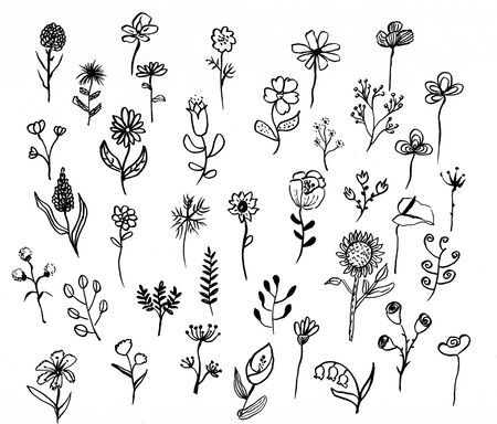 flower doodle hand drawn illustration,art design,wall inspirationの写真素材