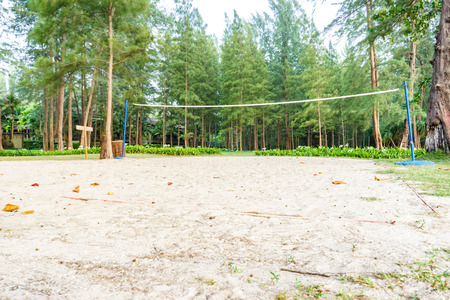Beach volleyball court on Pine tree backgroundの写真素材