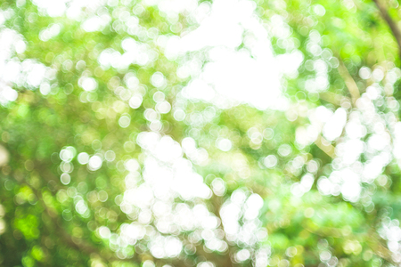 Light of bokeh on backgroundの写真素材