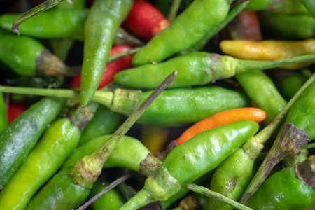 chilli backgroundの写真素材