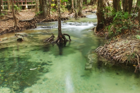 waterfall and tree on mountain samorakot,krabi,thailandの写真素材