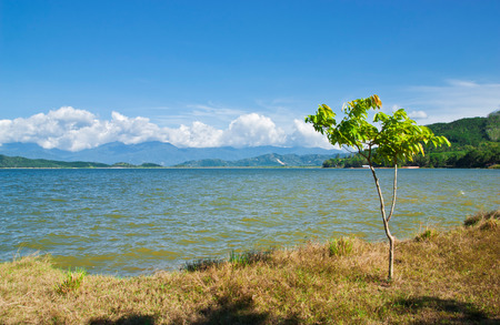 Beautiful nature and beautiful of river Thailandの写真素材