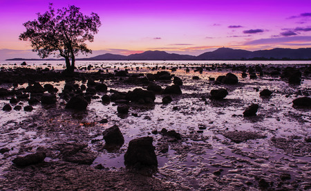 Beautiful nature and beautiful of sea with color of sunsetの写真素材