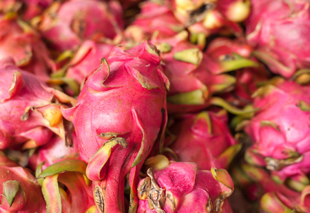 Dragon fruit on market stand, Selective focusの写真素材