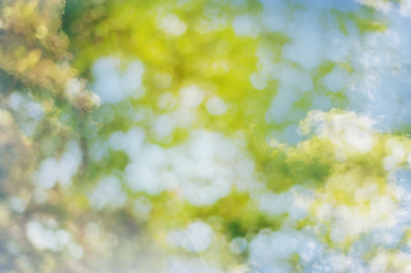 Spring sweet color light bokeh and white cloud blur for backgroundの写真素材