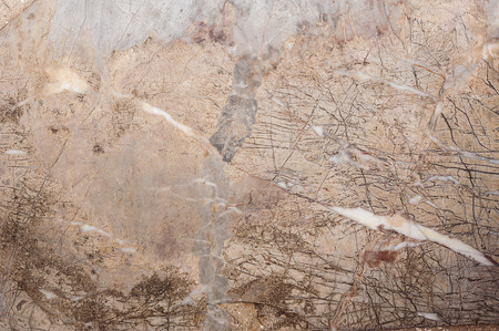 White marble texture, Detailed structure of marble, Abstract natural marble black and white (gray) for design.の写真素材