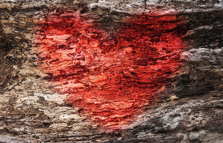 Image of red heart in wood texture and dark toneの写真素材