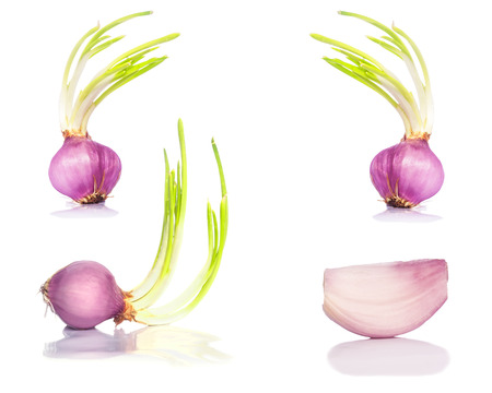 Fresh onion isolated on a white backgroundの写真素材