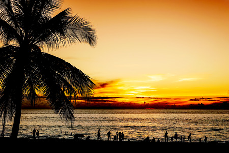 Silhouette coconut palm tree and some people with color of sunset in twilight dark tone styleの写真素材
