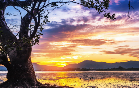 Seascape landscape nature with old tree and colorful of sunset in twilightの写真素材