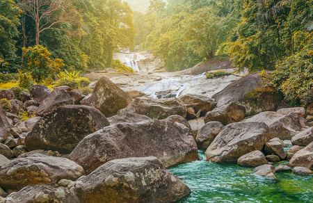 River stone and tree colorful, View water river tree, Stone river in multi color tree leaf in forest, Water fall in forestの写真素材