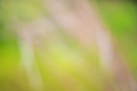 Abstract blurred gradient light background, Motion blur for background designの写真素材