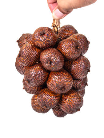 Ripe fruit of the litchi isolated on white backgroundの写真素材