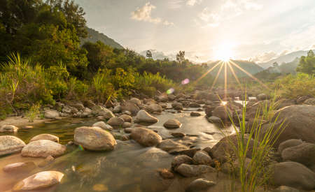 River stone and tree with sun beam, View water river tree, Stone river and sun ray in forestの写真素材
