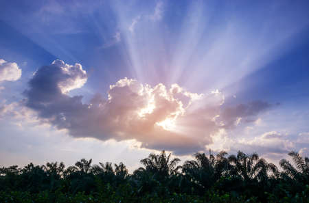 Light of god with cloud sky sunlight background