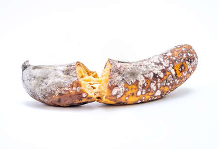 Rotten banana isolated on white backgroundの写真素材