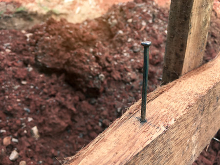 Concrete nails that are driven into the chart wood to tie ropes that will be used to find the width and length of the area for use in construction blurred backgroundの写真素材