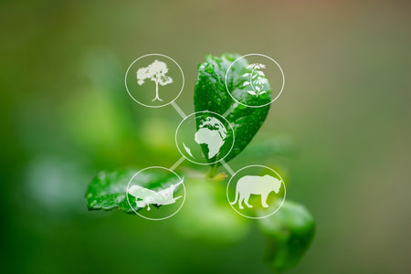 Ecosystem and preserve nature and sustainable concept