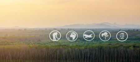Tourism and agricultural learning resources, Rubber plantation, Area preparation for rubber...