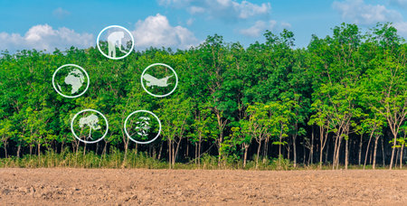 Tourism resources and agricultural learning, Rubber plantation farming, Learning about rubber growing areas, Access to rubber farmer communities, Panoramaの写真素材