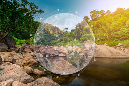 Ecosystem and preserve nature and sustainable concept, CREDIT BY NASA, Forest travel nature...