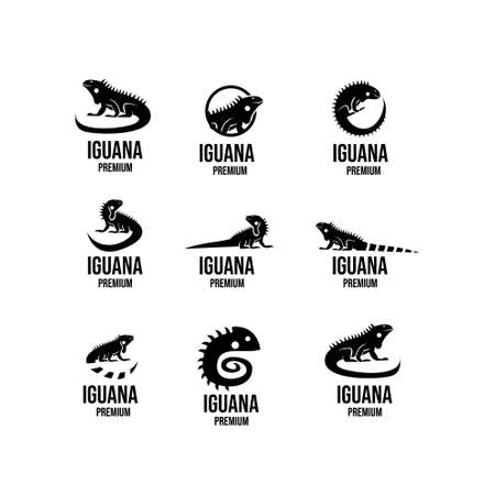 set collection iguana logo icon design illustration vectorのイラスト素材