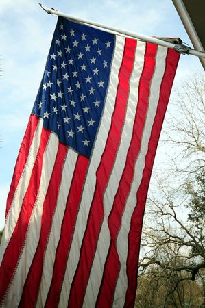 U S Flag wide angle