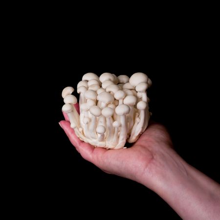 Foodstuffの写真素材