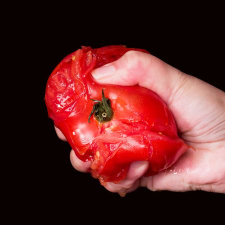 Squished Tomatoの写真素材